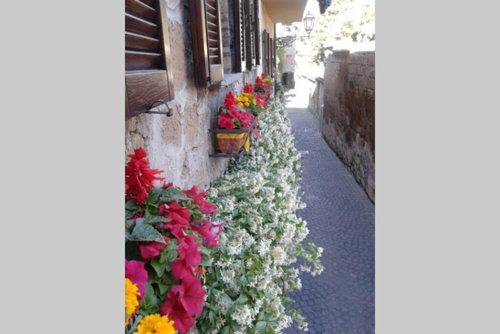 Villa Il Gelsomino Di Isia Orvieto Exterior foto
